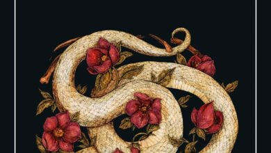 Premio Setenil de Molina 2022-Ganador XIX edición-PORTADA LIBRO 'Malaventura'