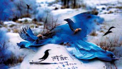 Teatro-'PÁJARO-AZUL'-Día-11