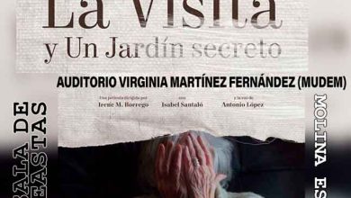 Cultura-Molina-Proyecto-'Sala-de-Cineastas-Molina-es-Cine'-Proyección-'La-Visita-y-Un-Jardín-secreto'-Día-16-CARTEL