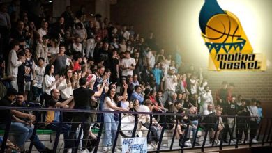 aficion-molina-basket