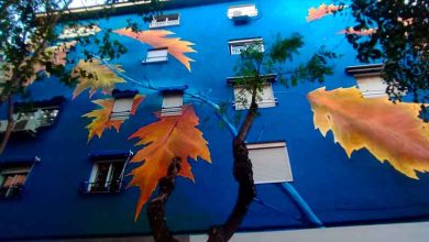 Participación-Ciudadana-Molina-Inauguración-mural-de-'Goyo-203'-en-Barrio-de-Santa-Bárbara-Foto4
