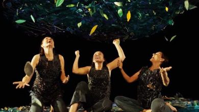 Teatro-'SOTOBOSQUE, LA VIDA BAJO LOS ÁRBOLES'-31oct23-2