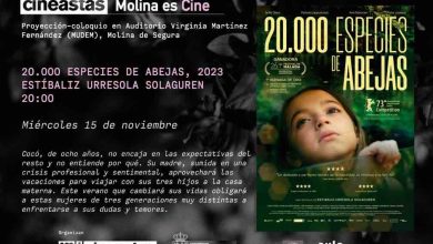 Sala de cineasstas - 2