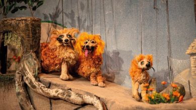 Teatro-'LA FÁBULA DE LA REPOSA'-12nov23-2