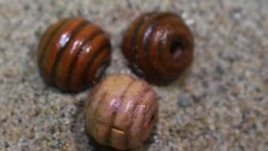 Bolitas_paco-tortosa