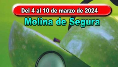 Semana de la Salud, Educación y Deporte 2024-Molina-Programa actividades-CARTEL-2