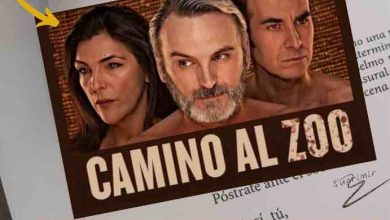 Carteles Vertical A3 - 12