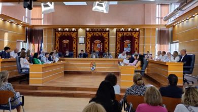 PLENO ORDINARIO AYT.DE MOLINA