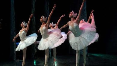 25.-lago-cisnes-27-de-diciembre-1024x699-1_jpg_webp