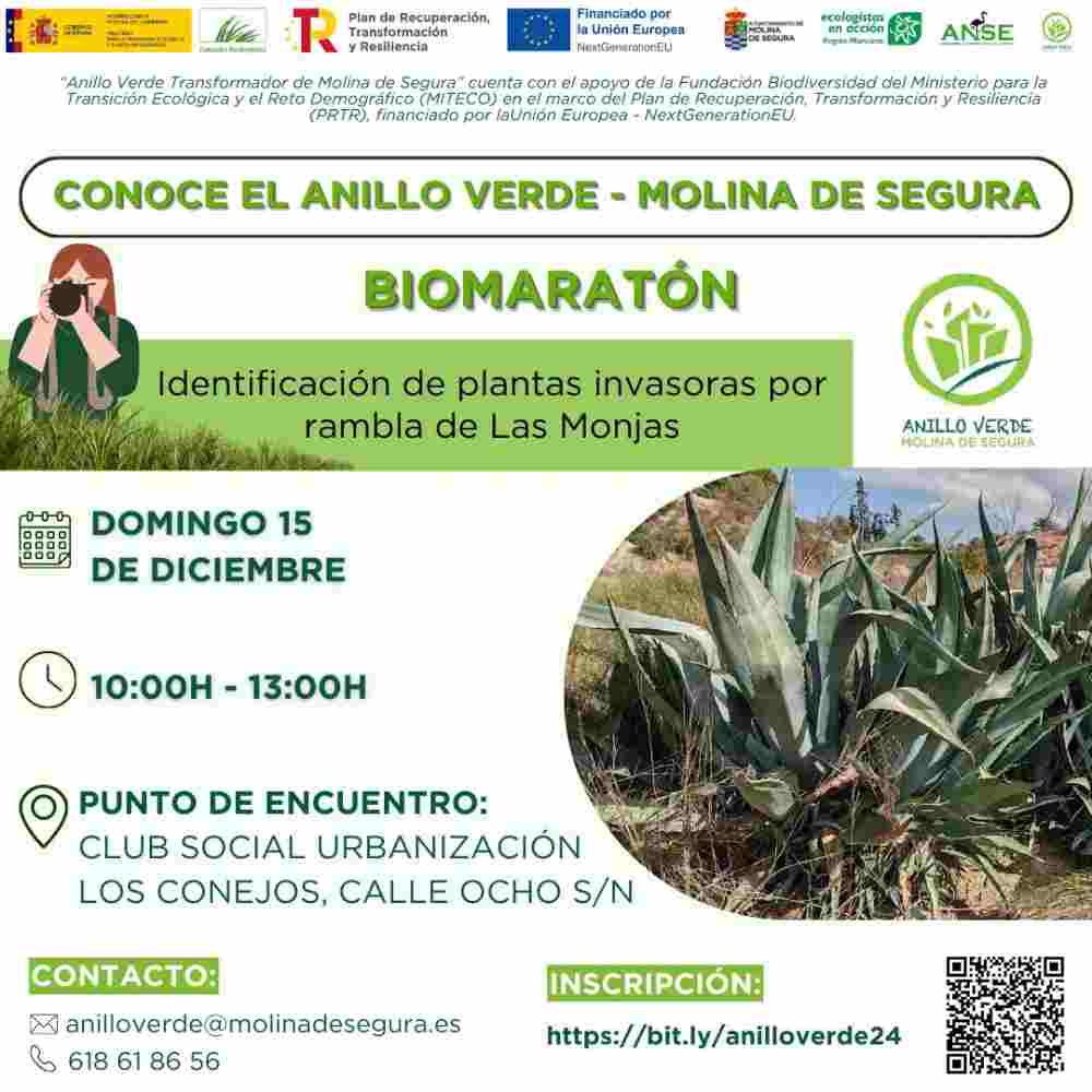 Actividad-15-diciembre-2_jpg_webp(1)