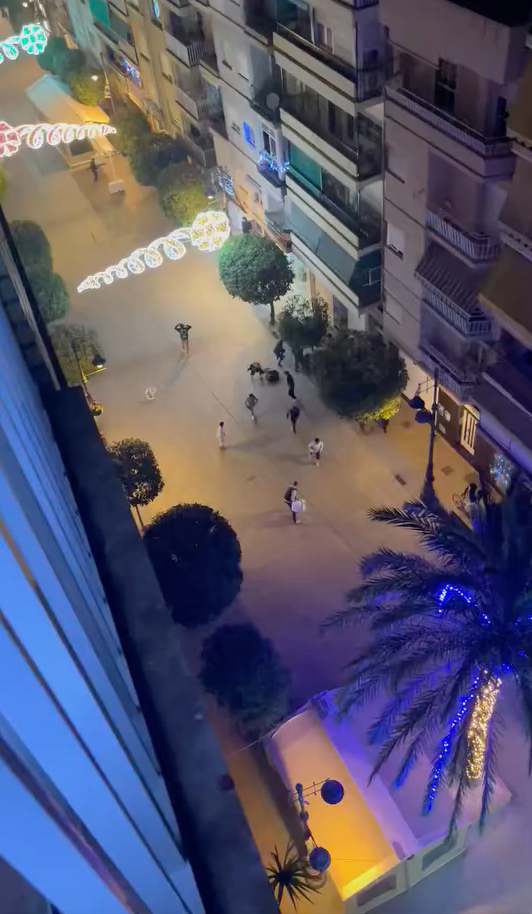 Captura de pantalla 2024-12-27 a las 12.10.06