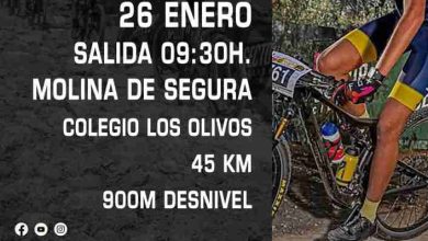 V-XCM-GP-Lemon-Team.jpeg_webp