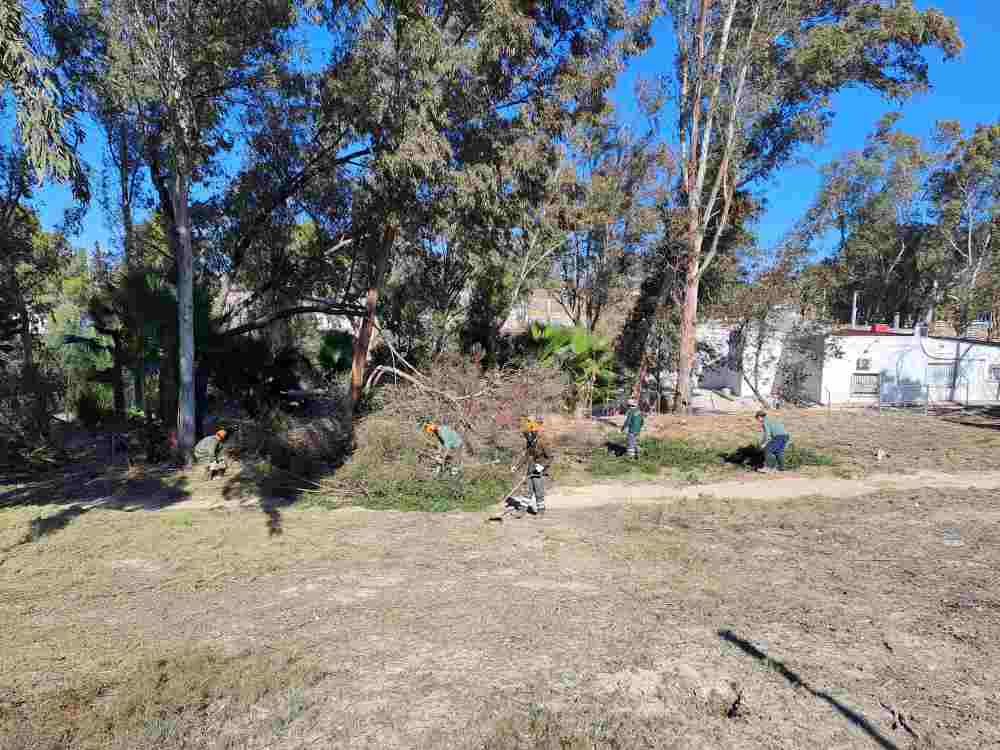 M. Ambiente-Proyecto 'ANILLO VERDE'-Balance Brigada Ecológica mayo-dic25-Trabajos brigada-Foto4(1)