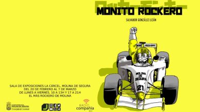 Monito-rockero_png_webp