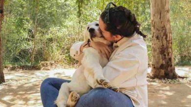 Veronica Lopez de Amer