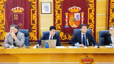 foto del concejal y alcalde pleno extraordinario