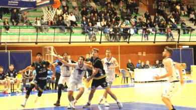 Molina Basket(1)