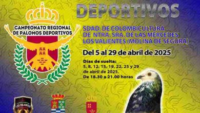 Deporte-Molina-72º Campeonato Regional de Palomos Deportivos 2025-CARTEL(1)
