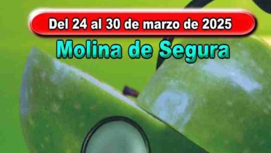 Semana-de-la-Salud-Educacion-y-Deporte-2025-Molina-Programa-actividades-CARTEL-724x1024_jpg