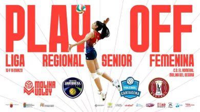 cartel Molina Vóley ancho