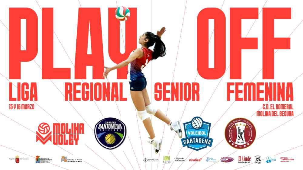 cartel Molina Vóley ancho