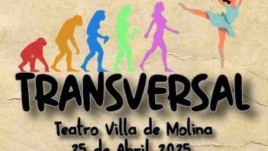 cartel gala de la danza