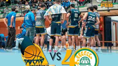 molina basket portada baja