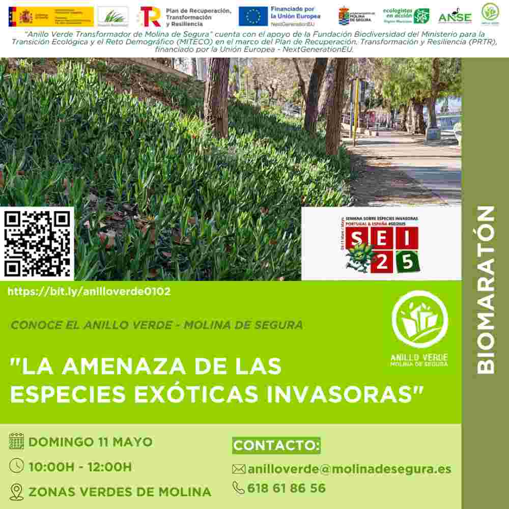 Cartel-actividad-11-mayo_png