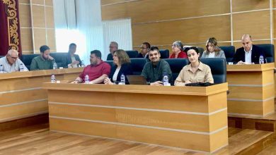 Pleno Molina de Segura