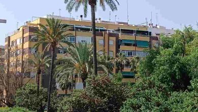 Viviendas Molina de Segura(1)