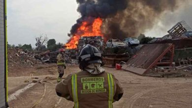 el-tapiado1-1153x1536