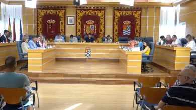 Pleno Junio 2025 2025-07-01 a las 12.37.54