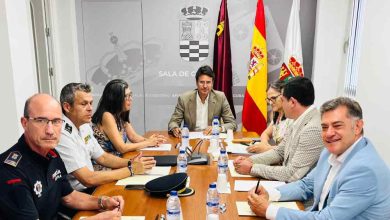 Junta Local Seguridad Ciudadana-Molina-Reunión 9 de julio-Foto(1)