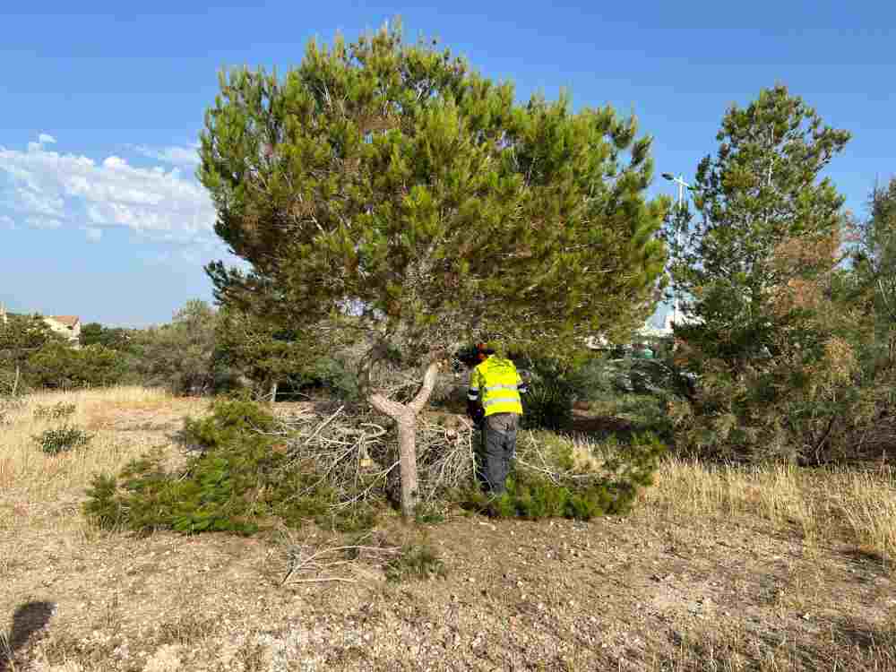 M. Ambiente-Molina-Proyecto 'ANILLO VERDE'-Inicio obras-Foto2(1)