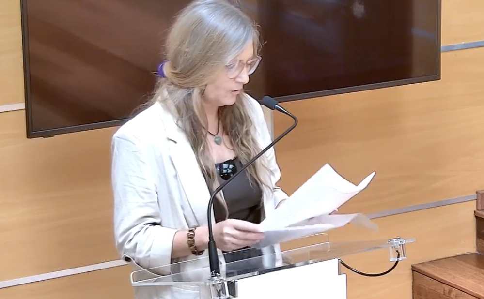 asociacion felina fer pleno julio 25