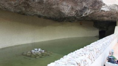 fuente el chorrico portada(1)