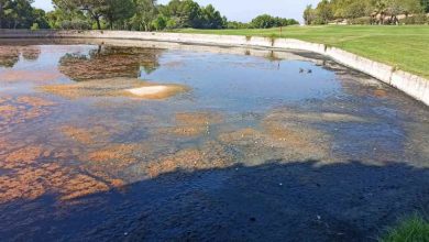 laguna altorreal campo de golf