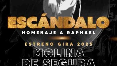 Cartel-Concierto-tributo-a-Raphael_png