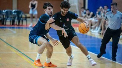 Molna Basket_01_22-09-25