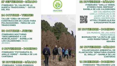 Medio Ambiente-Molina-Proyecto 'ANILLO VERDE'-Programa actividades octubre-diciembre 2025-CARTEL(1)