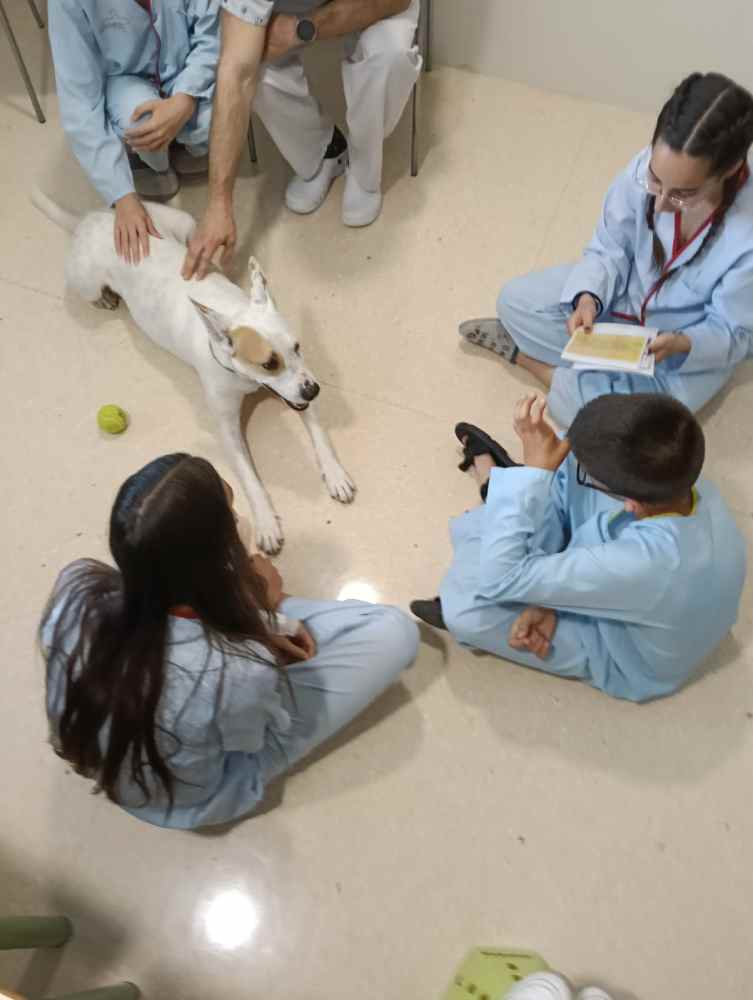Perro con niños en Hospital __poner__