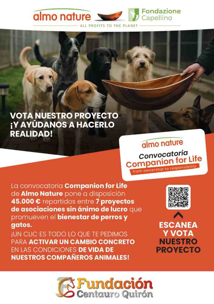 cartel portada votar fundacion centaruro quiron