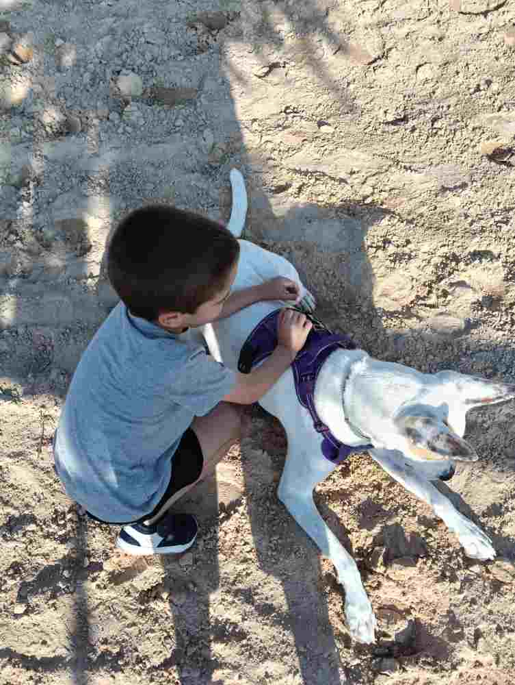 niño con perro fundación centaruro quiron
