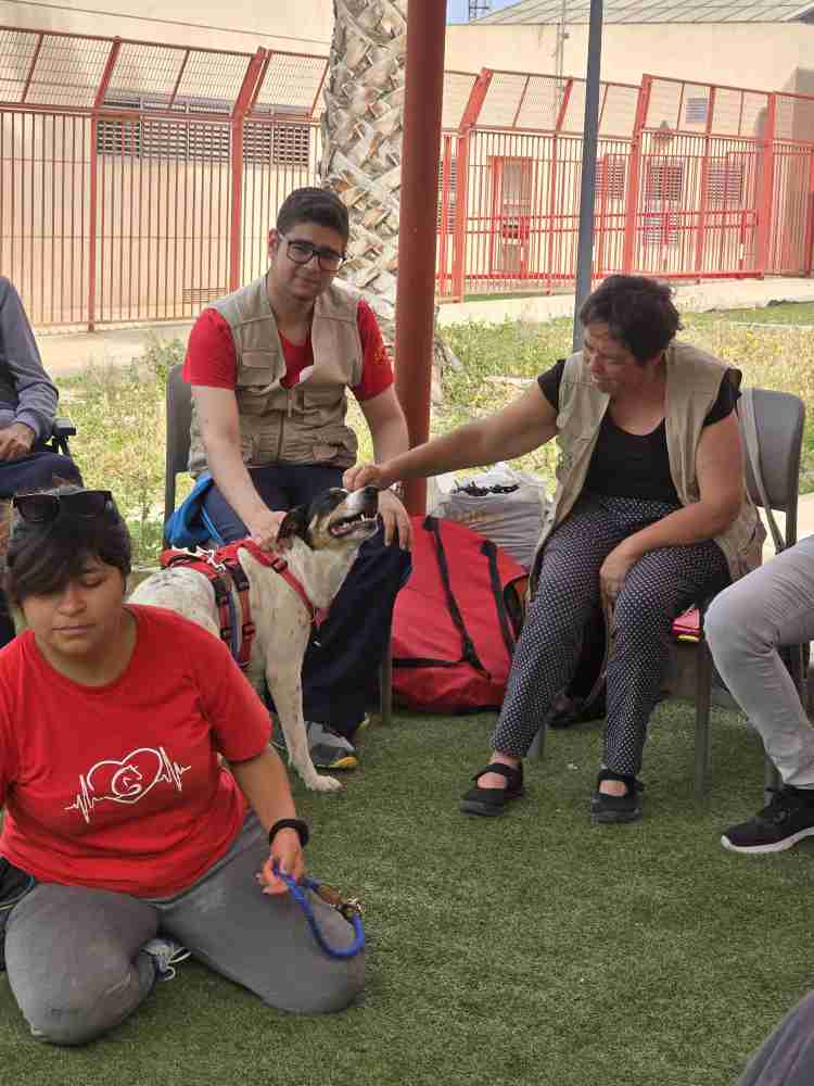 perro con gente poner