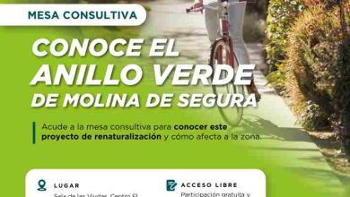 ANILLO VERDE-MESA CONSULTIVA 18.11.25 -MOLINA_REDES