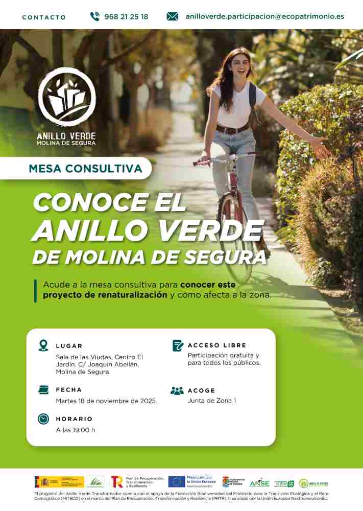 ANILLO VERDE-MESA CONSULTIVA 18.11.25 -MOLINA_REDES
