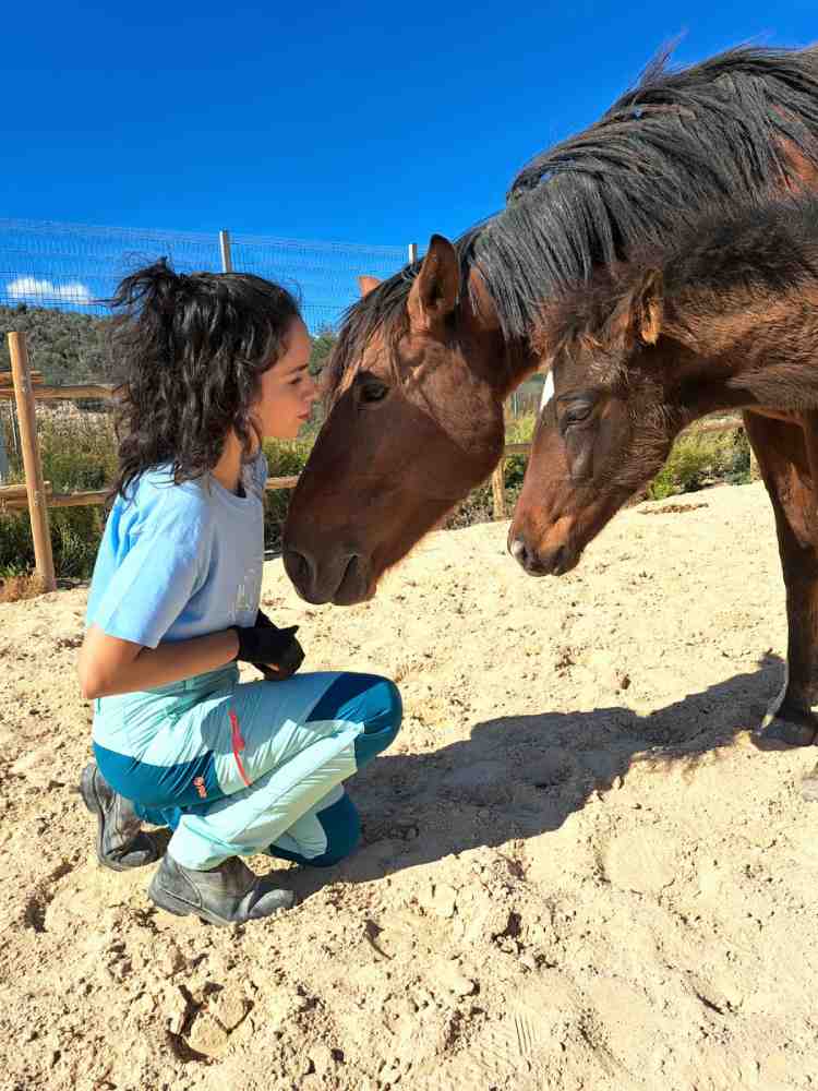 Alba y vida y cayetana