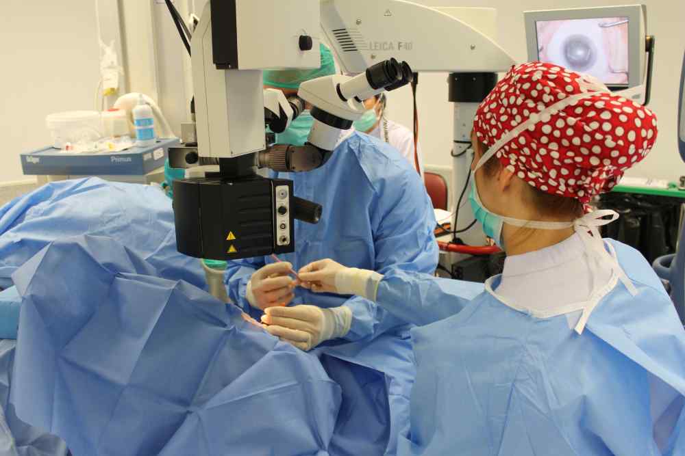 NP Oftalmología Molina (2)(1)