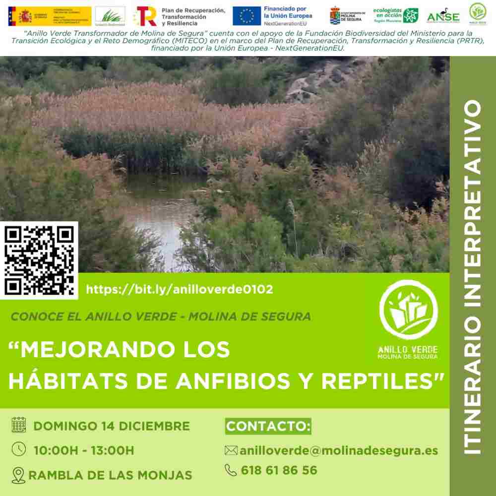 Carteles Anillo Verde_20251412(1)