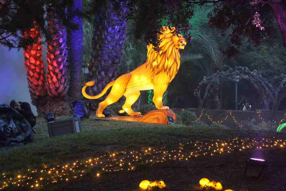 Leon portada Lucidum